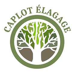 CAPLOT Braddy elagage 95 