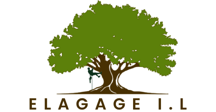 elagueur-elagage-i-l